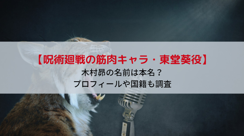 木村昴の名前は本名 プロフィールや国籍も調査 ヒプマイ Komeko放送室